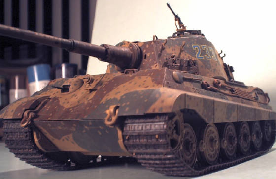 rctigeriigroundlvl.jpg